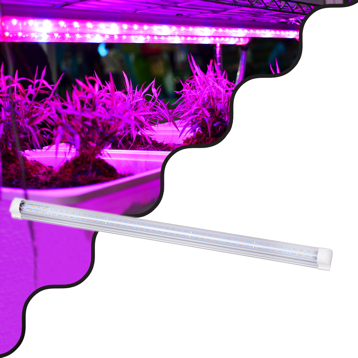 GloboStar® 85961 Linear Grow Light Full Spectrum LED Γραμμικό Φωτιστικό Ανάπτυξης Φυτών Θερμοκηπίου 60cm SMD 2835 40W 160° AC230V IP54 Εσωτερικού Χώρου για Κάλυψη Επιφάνειας 0.6m x 0.6m Πλήρους Φάσματος Φωτισμού