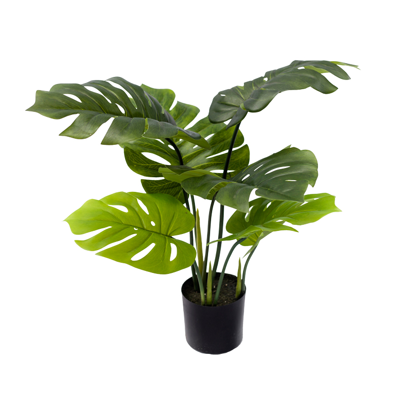 Διακοσμητικό φυτό Monstera σε γλάστρα Inart πράσινο pp Υ70εκ