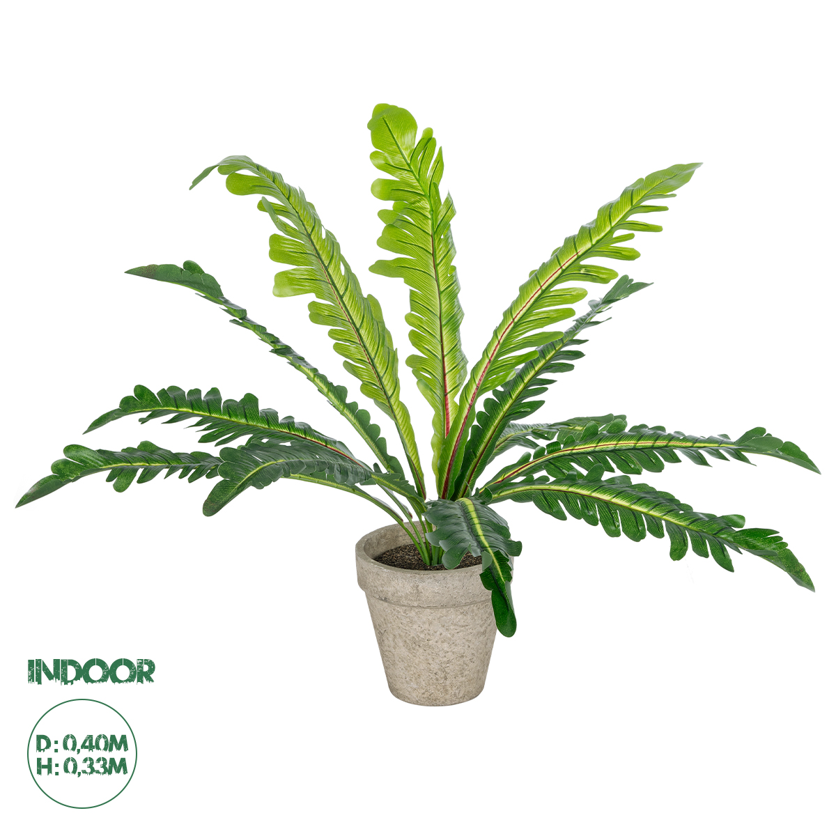 GloboStar® Artificial Garden ASPLENIUM POTTED PLANT 20904 Διακοσμητικό Φυτό Aslenium Φ40 x Υ33cm