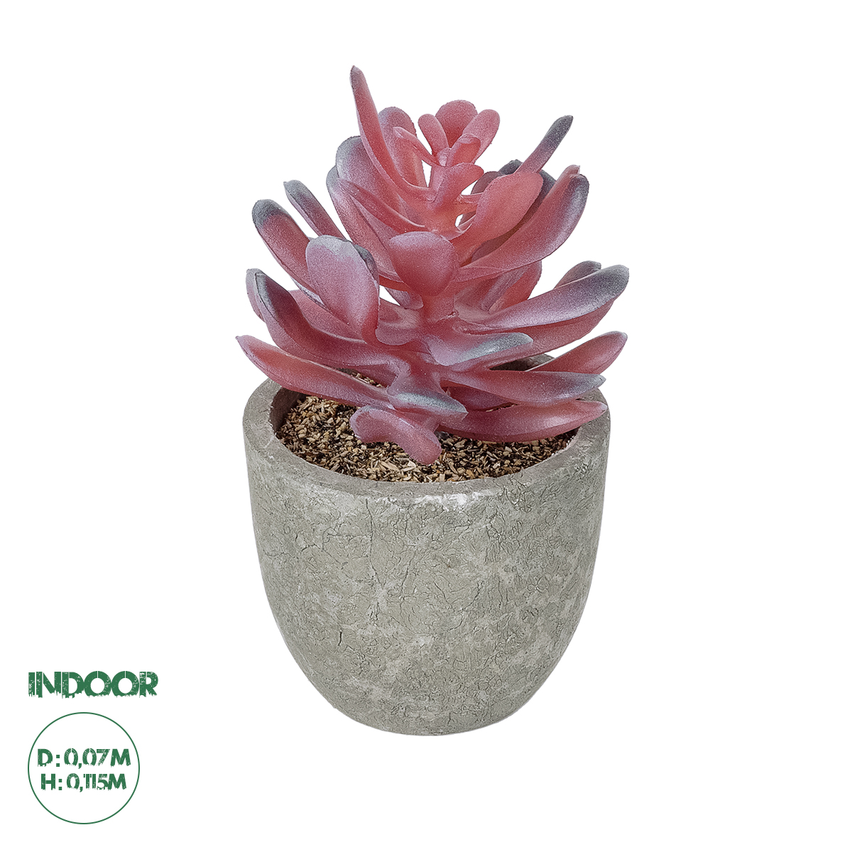 GloboStar® Artificial Garden SUCCULENT CRASSULA POTTED PLANT 21015 Διακοσμητικό Φυτό Κρασούλα Φ7 x Υ11,5cm