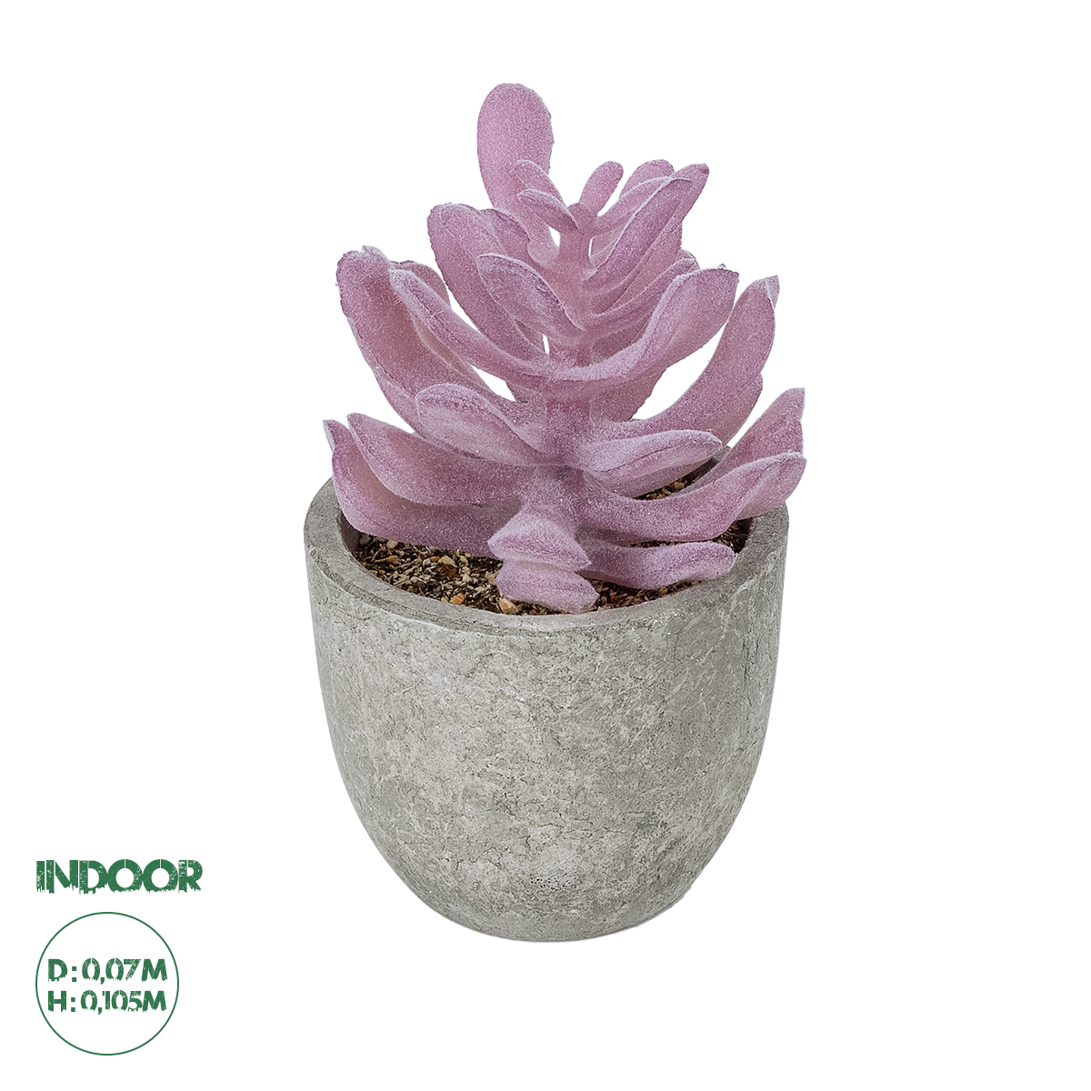 GloboStar® Artificial Garden SUCCULENT CRASSULA POTTED PLANT 21029 Διακοσμητικό Φυτό Κρασούλα Φ7 x Υ10,5cm