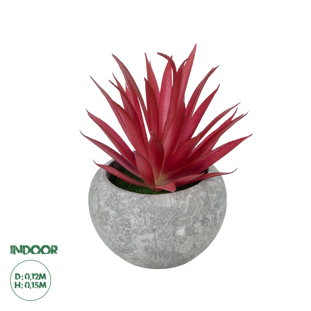 GloboStar® Artificial Garden AIR PLANT TILLANDSIA POTTED PLANT 21035 Διακοσμητικό Φυτό Τιλάντσια Φ12 x Υ15cm