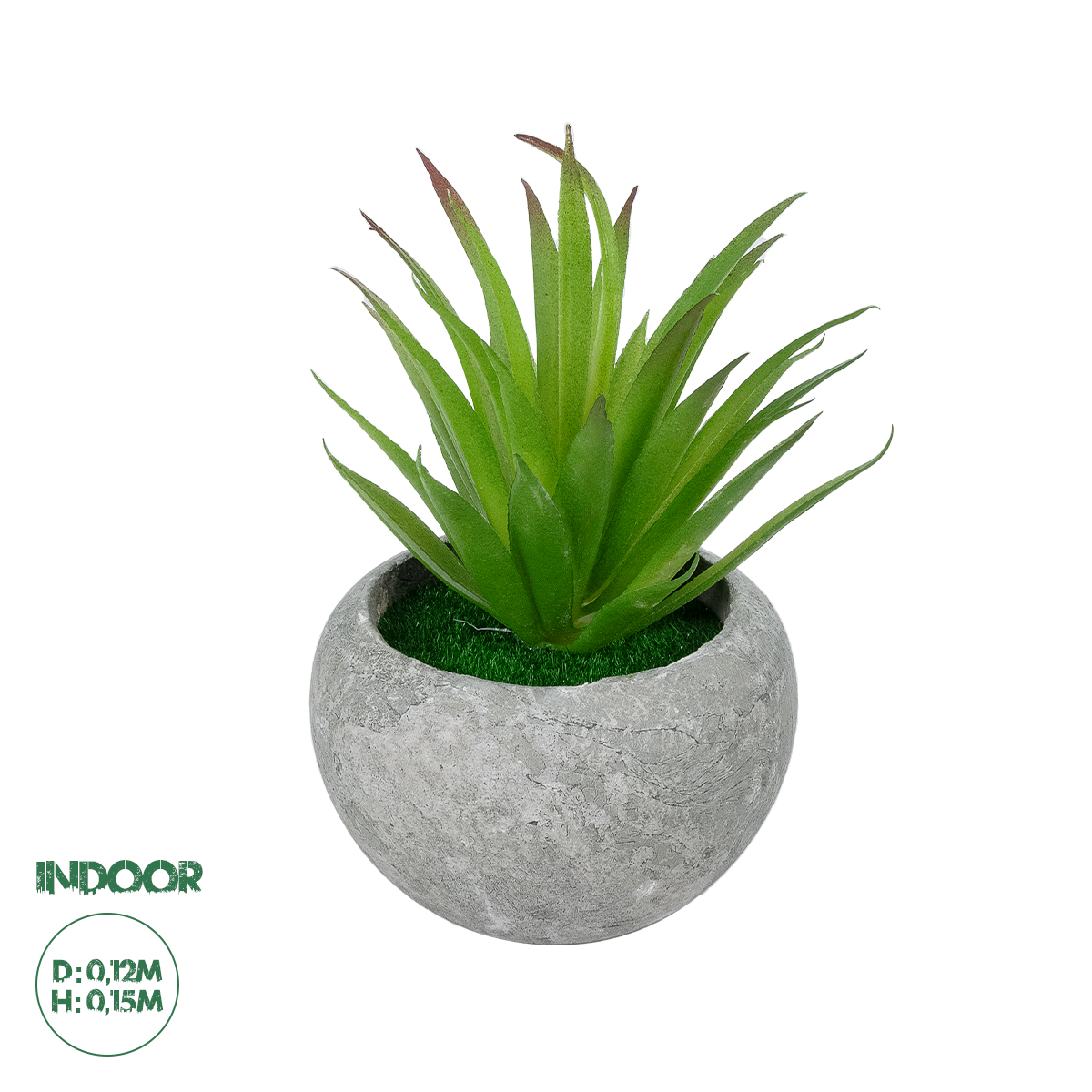 GloboStar® Artificial Garden AIR PLANT TILLANDSIA POTTED PLANT 21036 Διακοσμητικό Φυτό Τιλάντσια Φ12 x Υ15cm