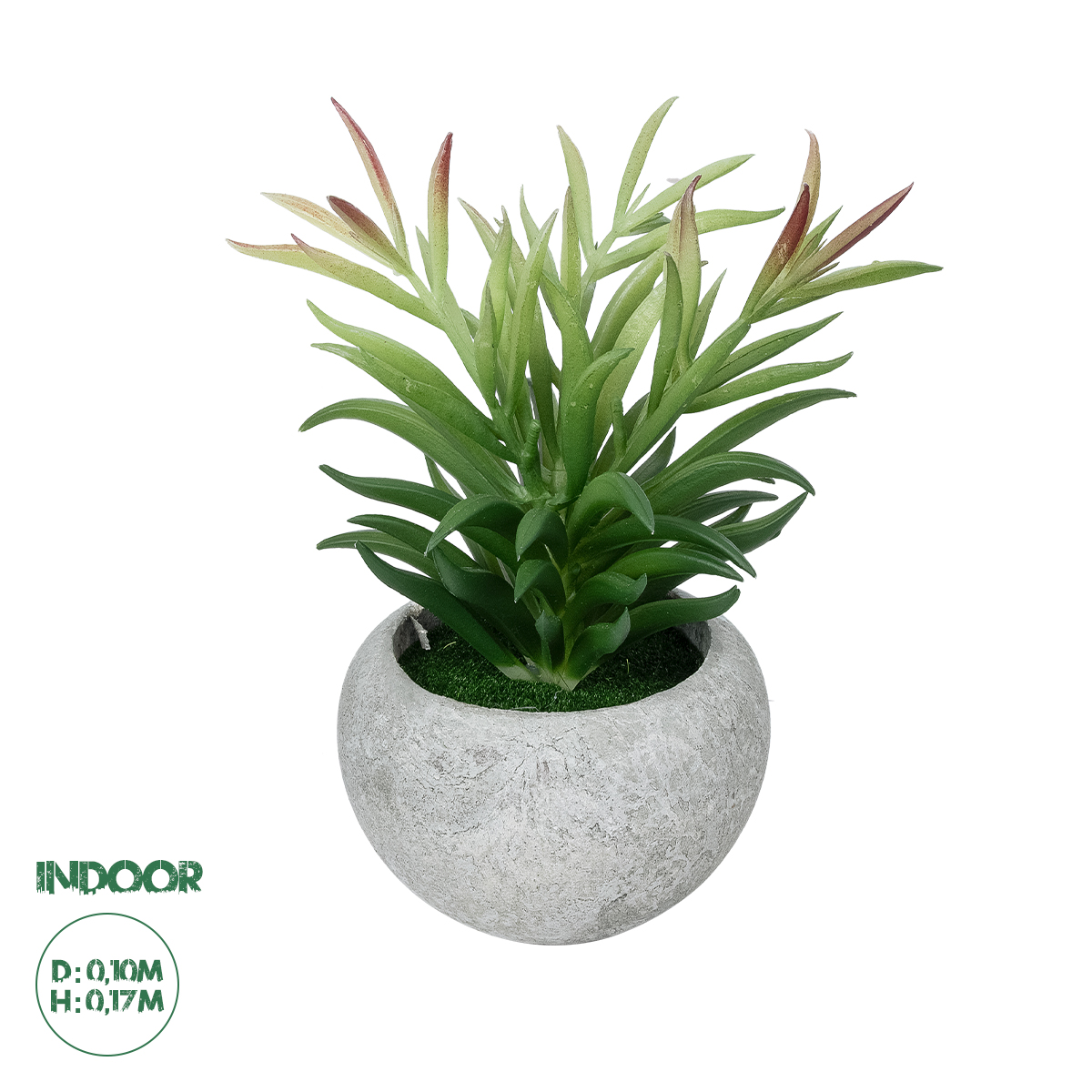 GloboStar® Artificial Garden SUCCULENT CRASSULA POTTED PLANT 21038 Διακοσμητικό Φυτό Κρασούλα Φ10 x Υ17cm