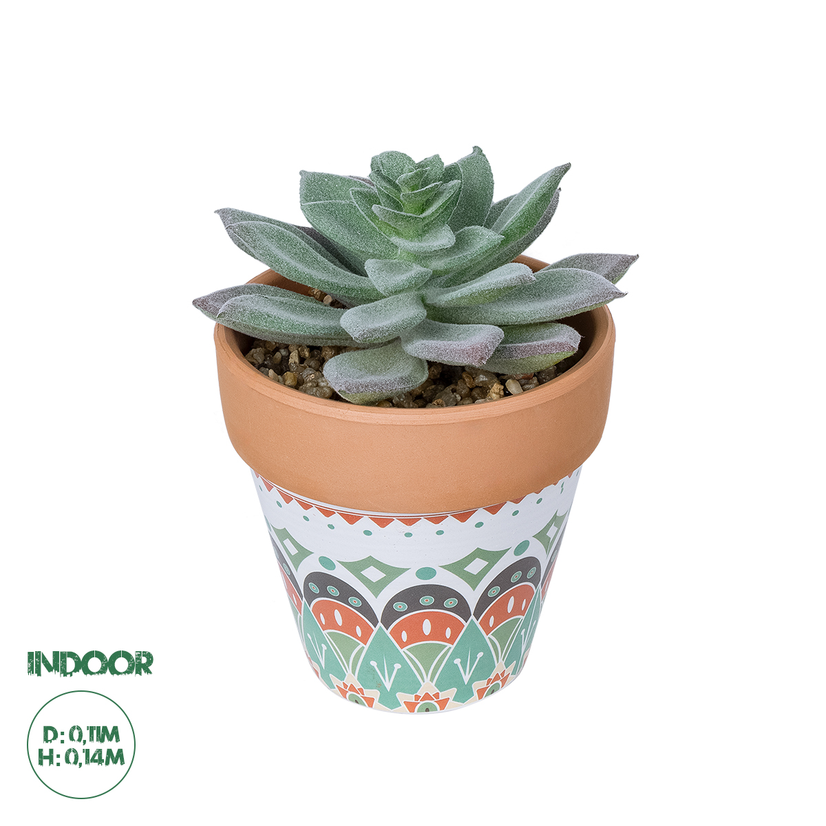 GloboStar® Artificial Garden SUCCULENT SEDEVERIA POTTED PLANT 21041 Διακοσμητικό Φυτό Σεδεβέρια Φ11x Υ14cm