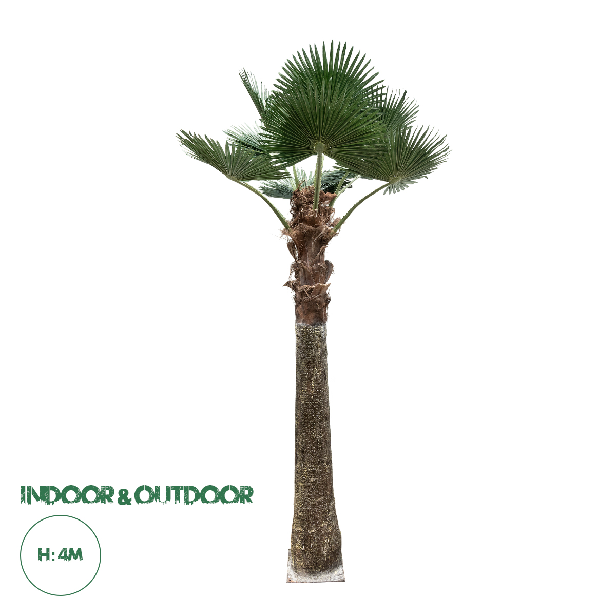 GloboStar® Artificial Garden PLANT PALM TREE 21055 Διακοσμητικό Δέντρο Φοίνικα Φ240 x Υ400cm