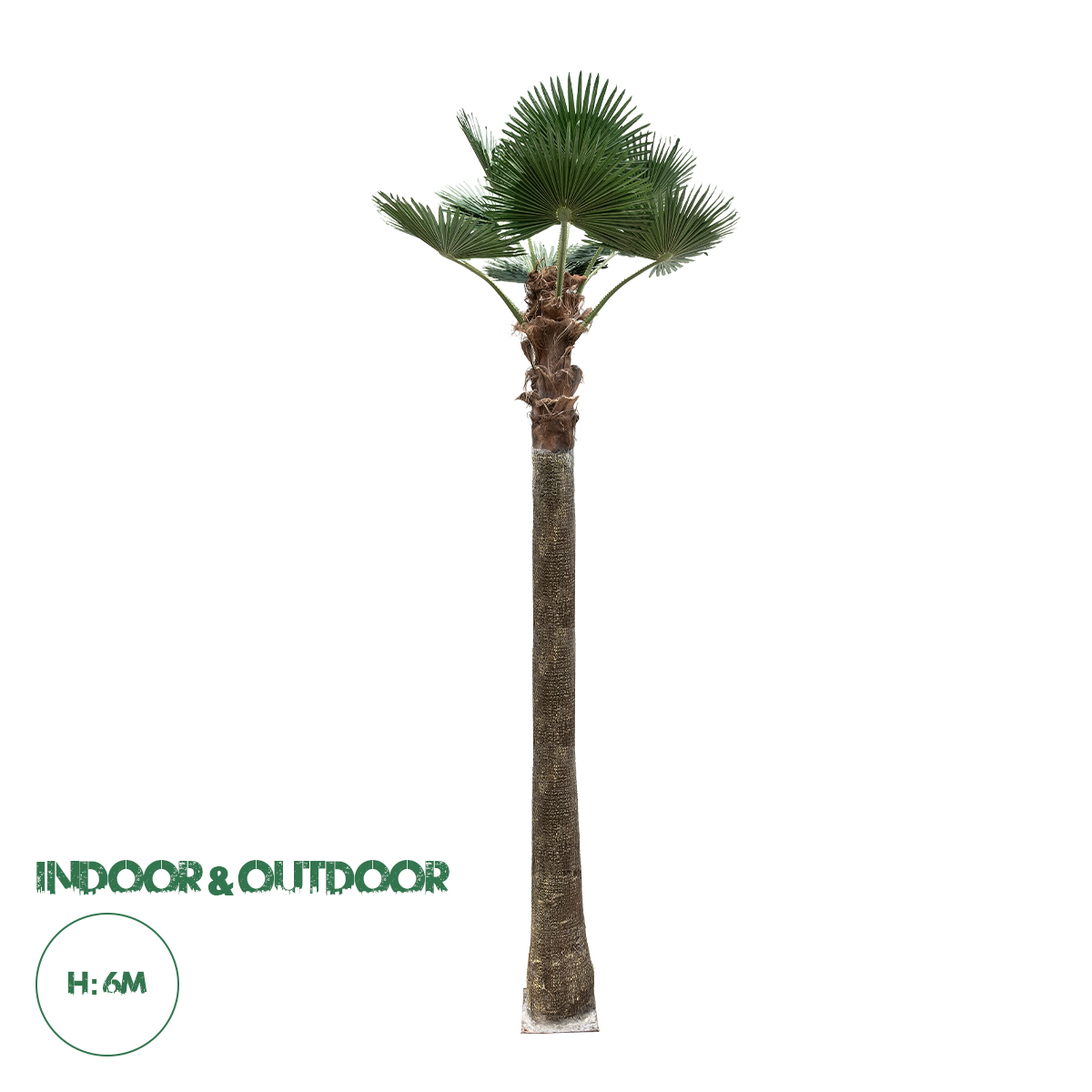 GloboStar® Artificial Garden PLANT PALM TREE 21057 Διακοσμητικό Δέντρο Φοίνικα Φ240 x Υ600cm