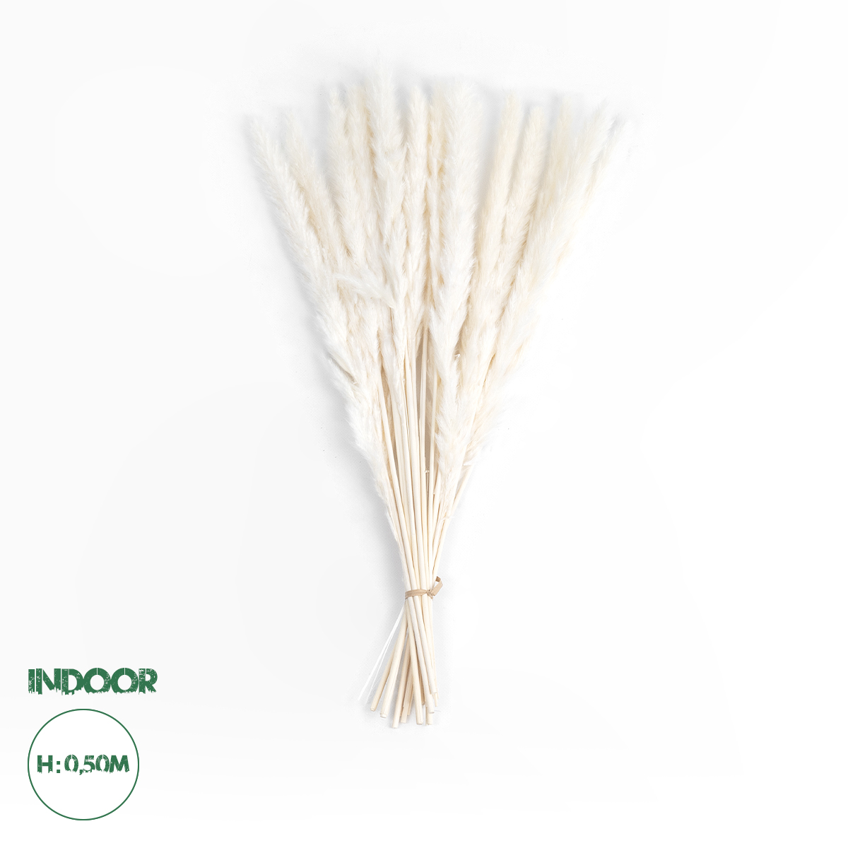 GloboStar® Artificial Garden REAL DRIED BEIGE PAMPAS GRASS BUNCH 21216 Αποξηραμένο Διακοσμητικό Μπουκέτο Pampas Μπέζ Y50cm