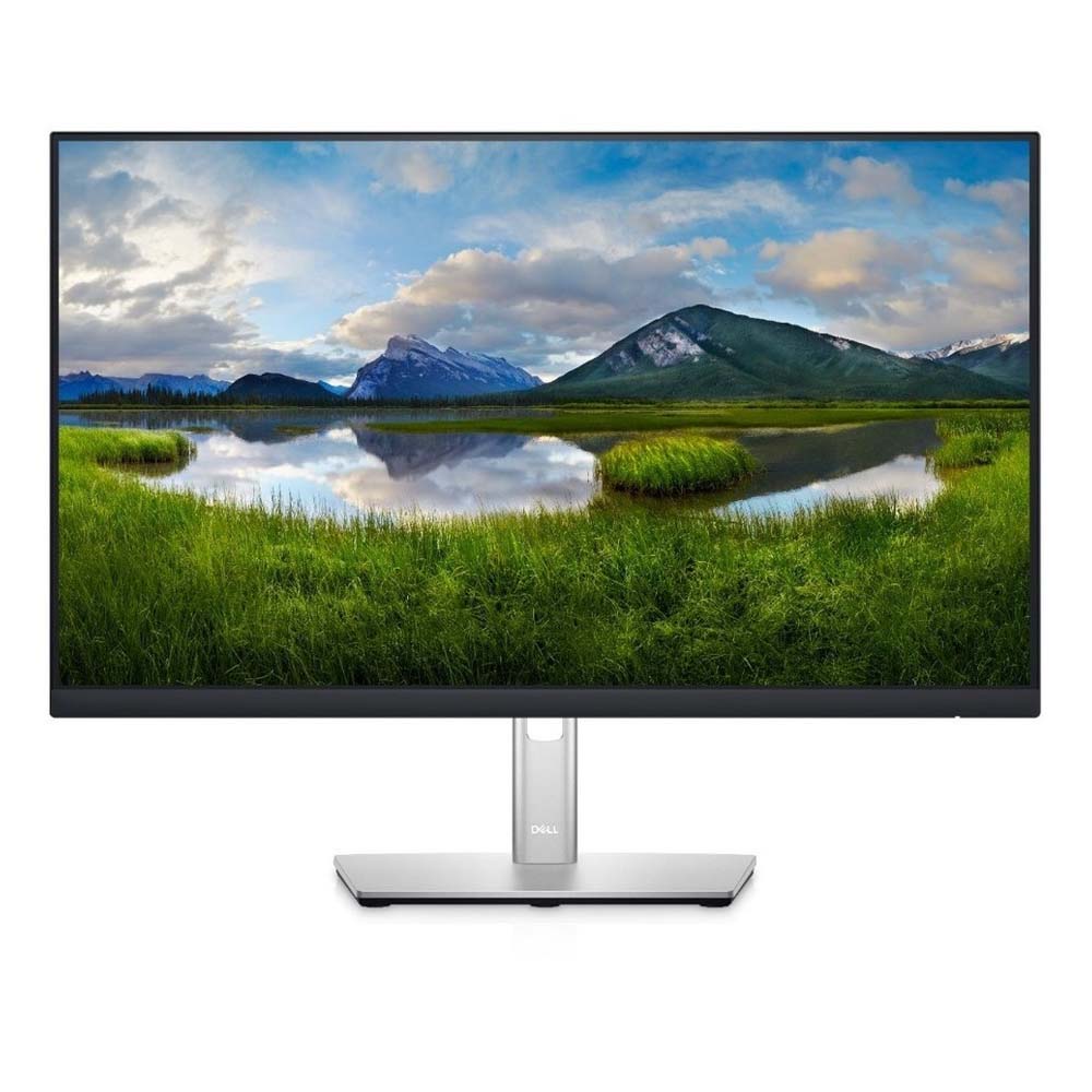 DELL P2422H IPS Ergonomic Monitor 24'' (210-AZYX) (DELP2422H)