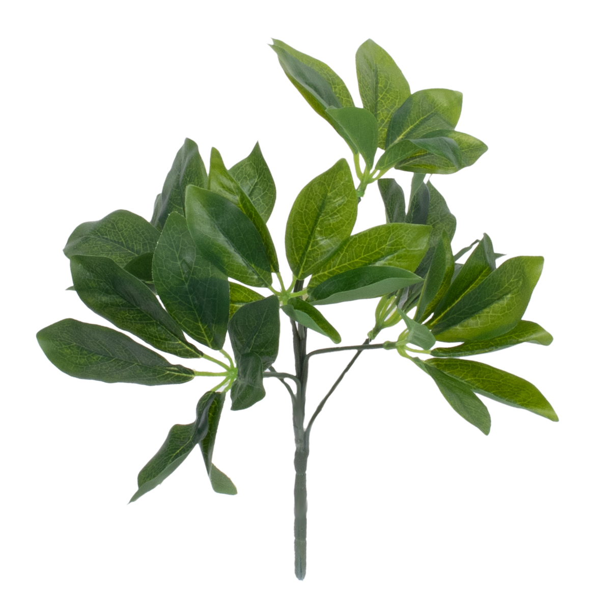 GloboStar® SCHEFFLERA 78222 Τεχνητό Φυτό Σεφλέρα - Μπουκέτο Διακοσμητικών Φυτών - Κλαδιών με Φύλλωμα Πράσινο Υ30cm