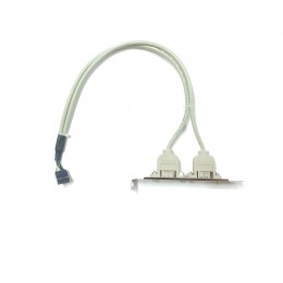 C167-SLOT2 . USB Port 2xAF to 2x5pin (5 pin+5 pin) 35cm