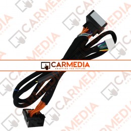 CARMEDIA Cable 05 VW