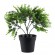 GloboStar® Artificial Garden EUCALYPTUS 20392 Τεχνητό Διακοσμητικό Φυτό Ευκάλυπτος Υ30cm