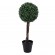 GloboStar® Artificial Garden BUXUS 20405 Τεχνητό Διακοσμητικό Φυτό Πυξός Υ60cm