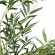 GloboStar® Artificial Garden BAMBOO 20034 Τεχνητό Διακοσμητικό Φυτό Μπαμπού Υ130cm