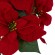 GloboStar® Artificial Garden CHRISTMASS FLOWER EUPHORBIA 20365 Τεχνητό Διακοσμητικό Χριστουγεννιάτικο Λουλούδι Αλεξανδρινό Υ49cm