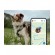 Tractive DOG XL / Adventure GPS Pet Tracker Σκύλου Mint (Τεμάχιο)-