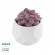 GloboStar® Artificial Garden SUCCULENT SEDEVERIA 21005 Διακοσμητικό Φυτό Παχύφυτο Σεντεβέρια Υ8cm