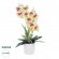 GloboStar® Artificial Garden WHITE - FUCHSIA ORCHID 21078 Διακοσμητικό Φυτό Λευκή - Φούξια Ορχιδέα Υ45cm