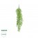 GloboStar® Artificial Garden HANGING LIMA BEAN 20847 Τεχνητό Διακοσμητικό Κρεμαστό Φυτό Φασόλι Λίμα Μ29 x Π10 x Υ86cm