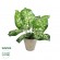 GloboStar® Artificial Garden DIEFFENBACHIA POTTED PLANT 20897 Διακοσμητικό Φυτό Διεφενμπάχια Φ40 x Υ33cm