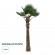 GloboStar® Artificial Garden PLANT PALM TREE 21055 Διακοσμητικό Δέντρο Φοίνικα  Φ240 x Υ400cm