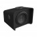 JBL CLUB 1000P (10" - 1050W)